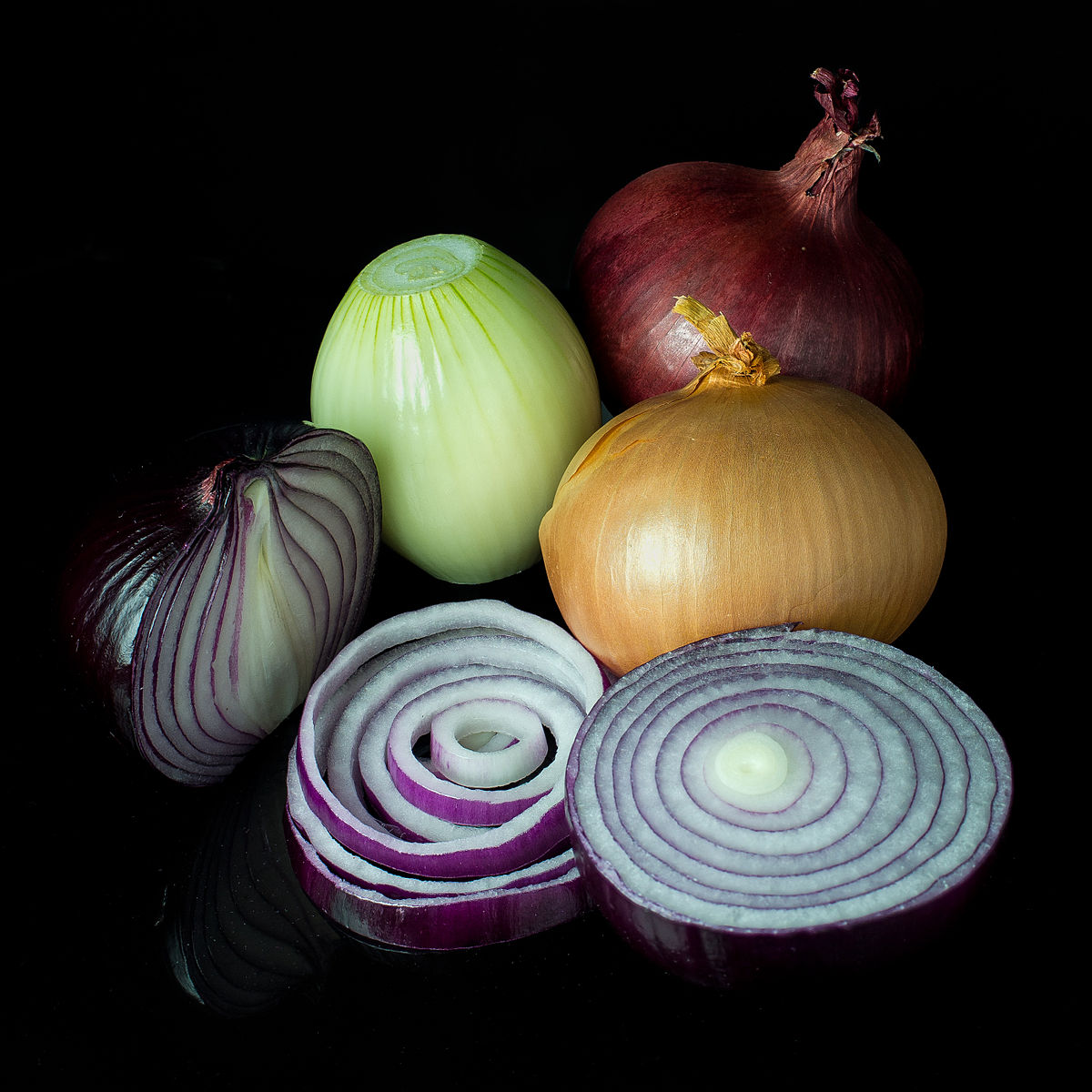 Allium cepa