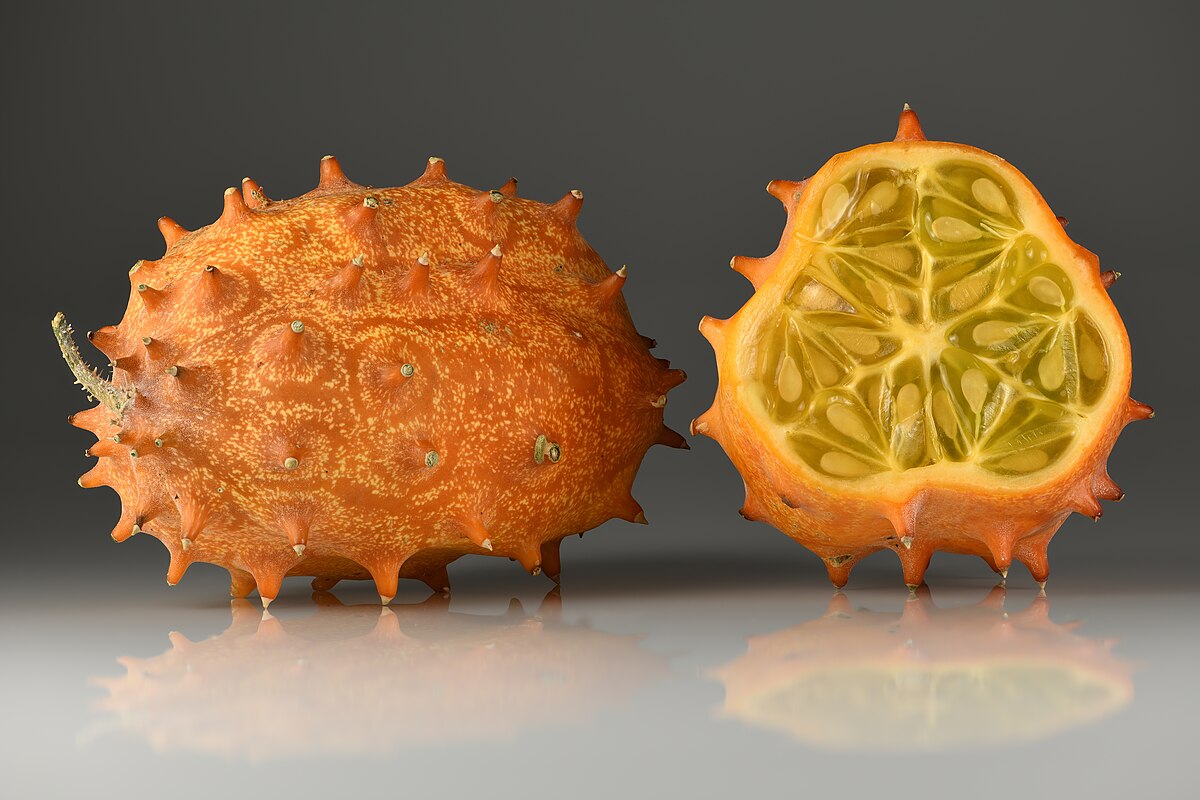 Cucumis metuliferus