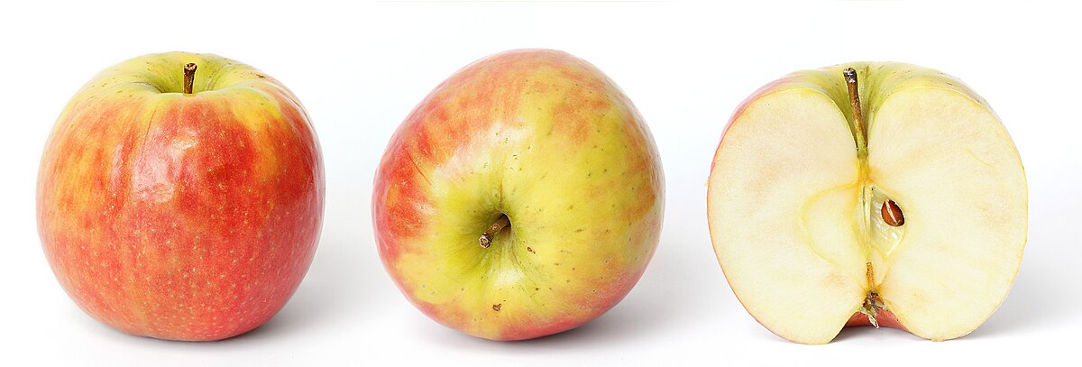 Malus domestica (alt.)