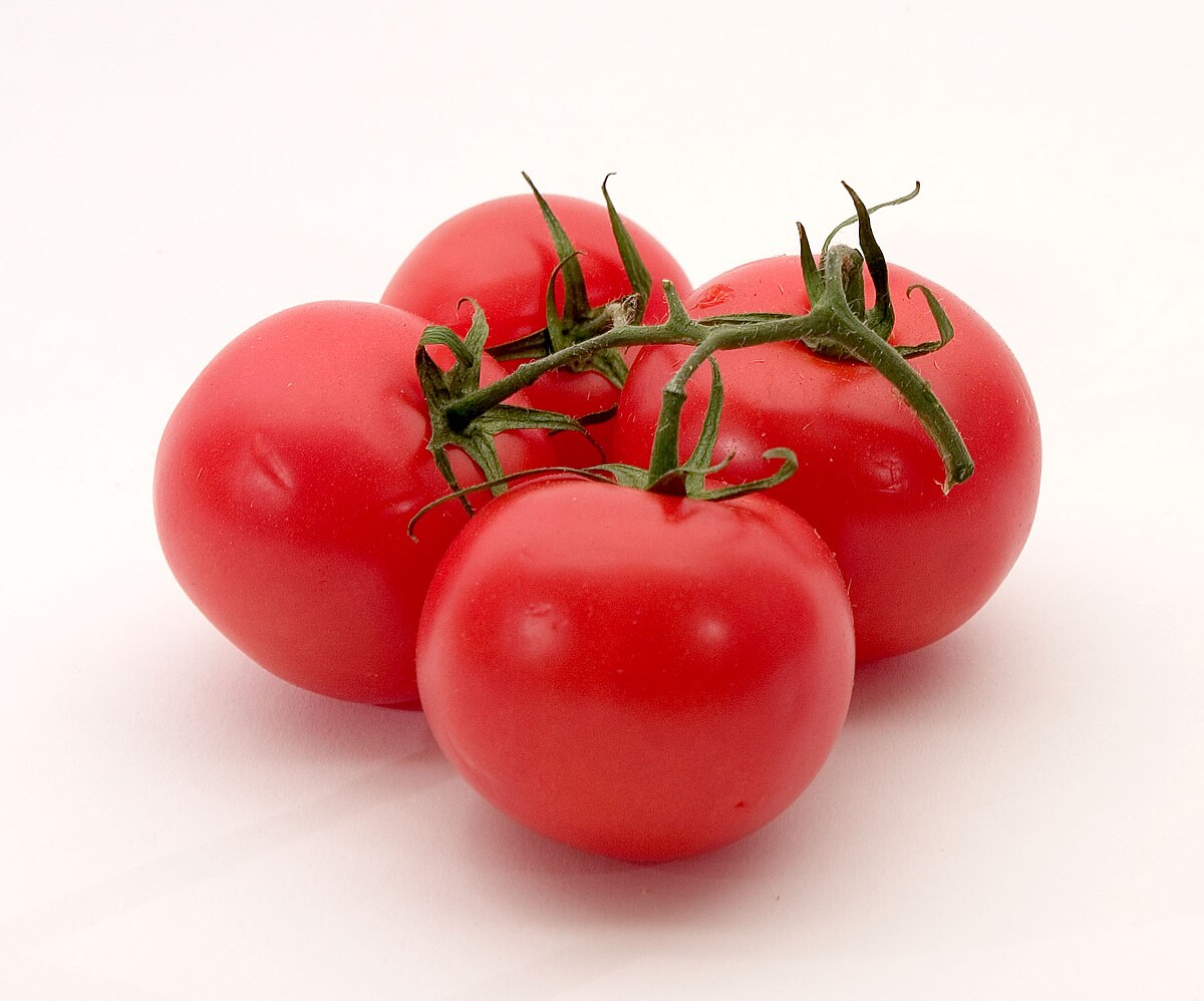 Solanum lycopersicum M82
