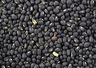 Vigna mungo